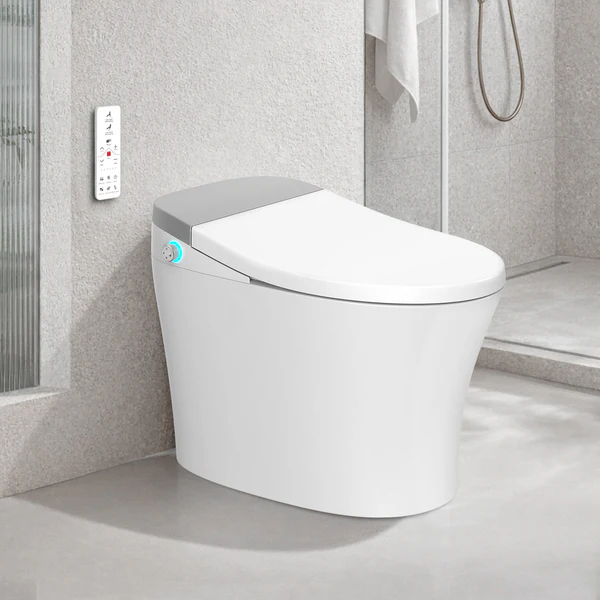 ST09 01 Toilet