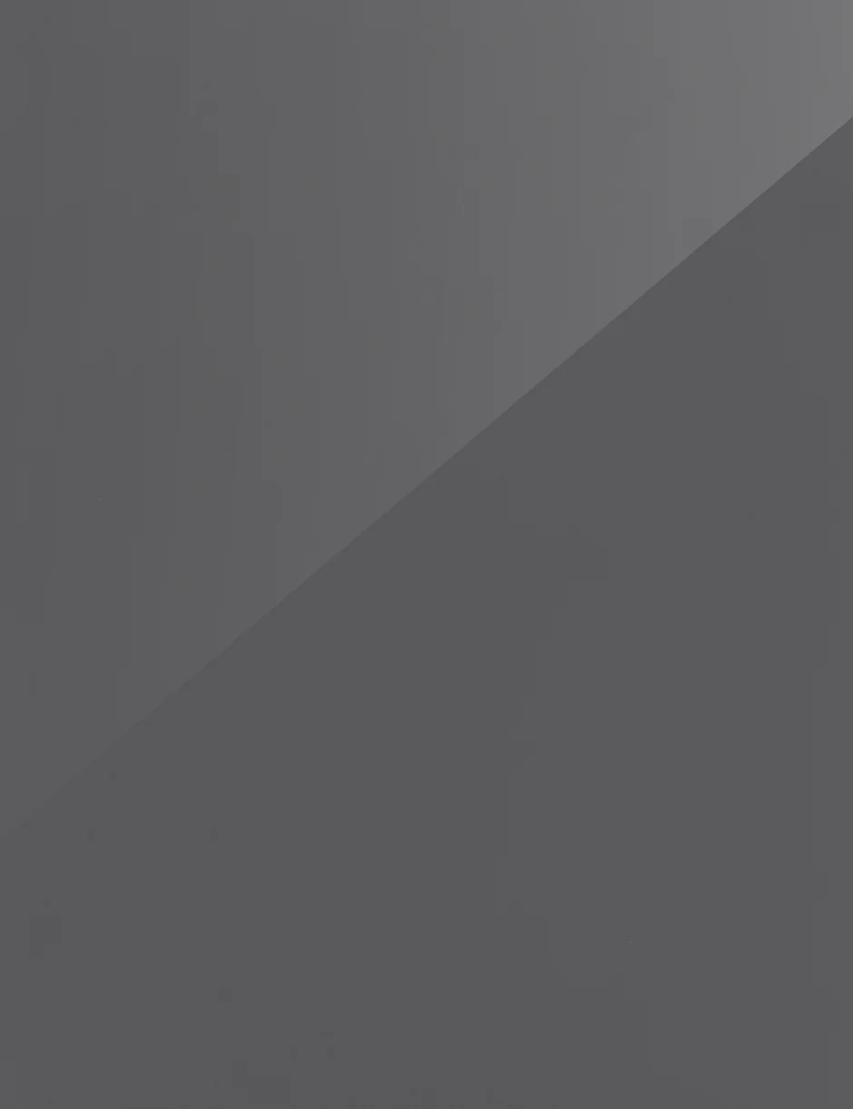 H3007 Glossy Gray