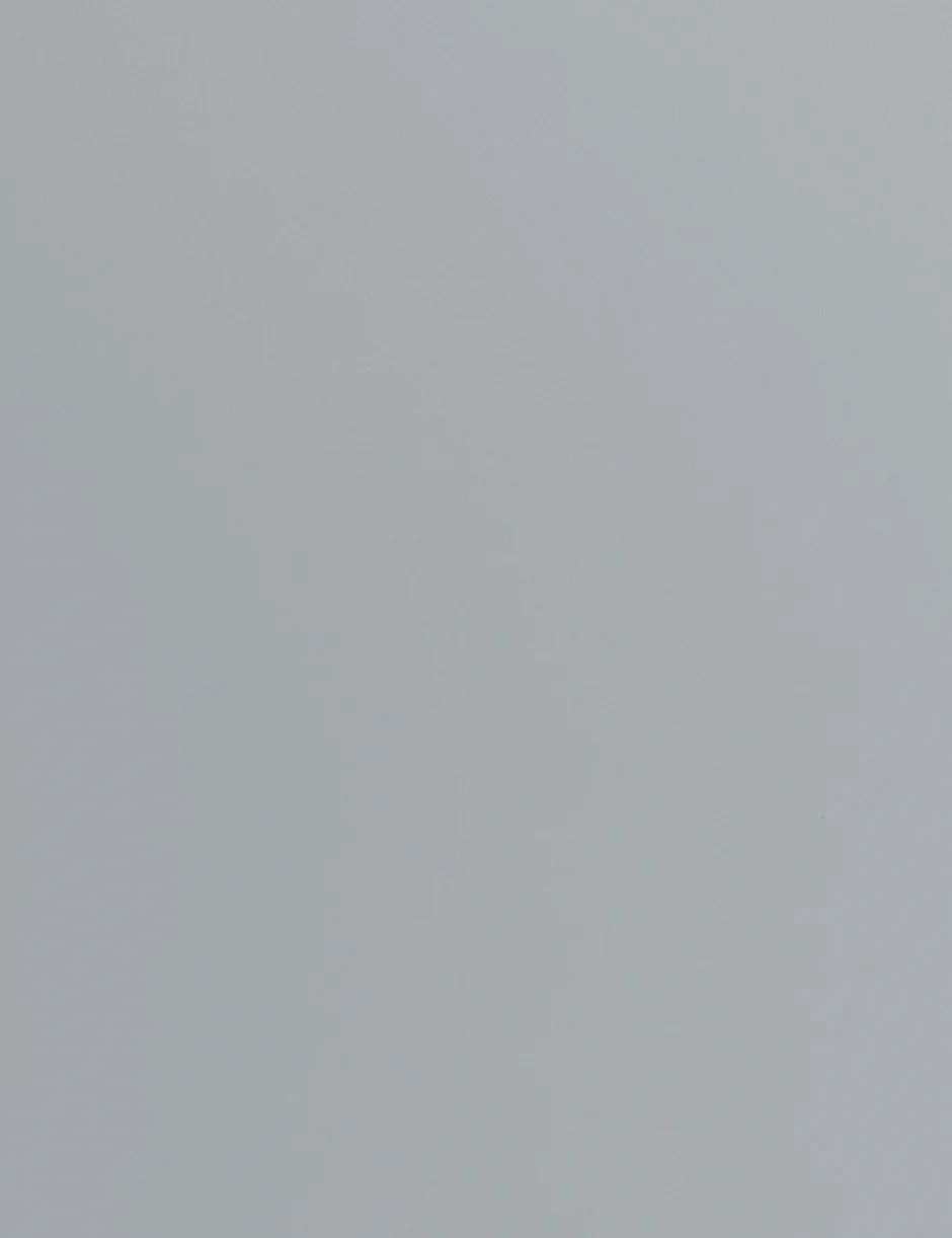 EB009 Metallic Gray