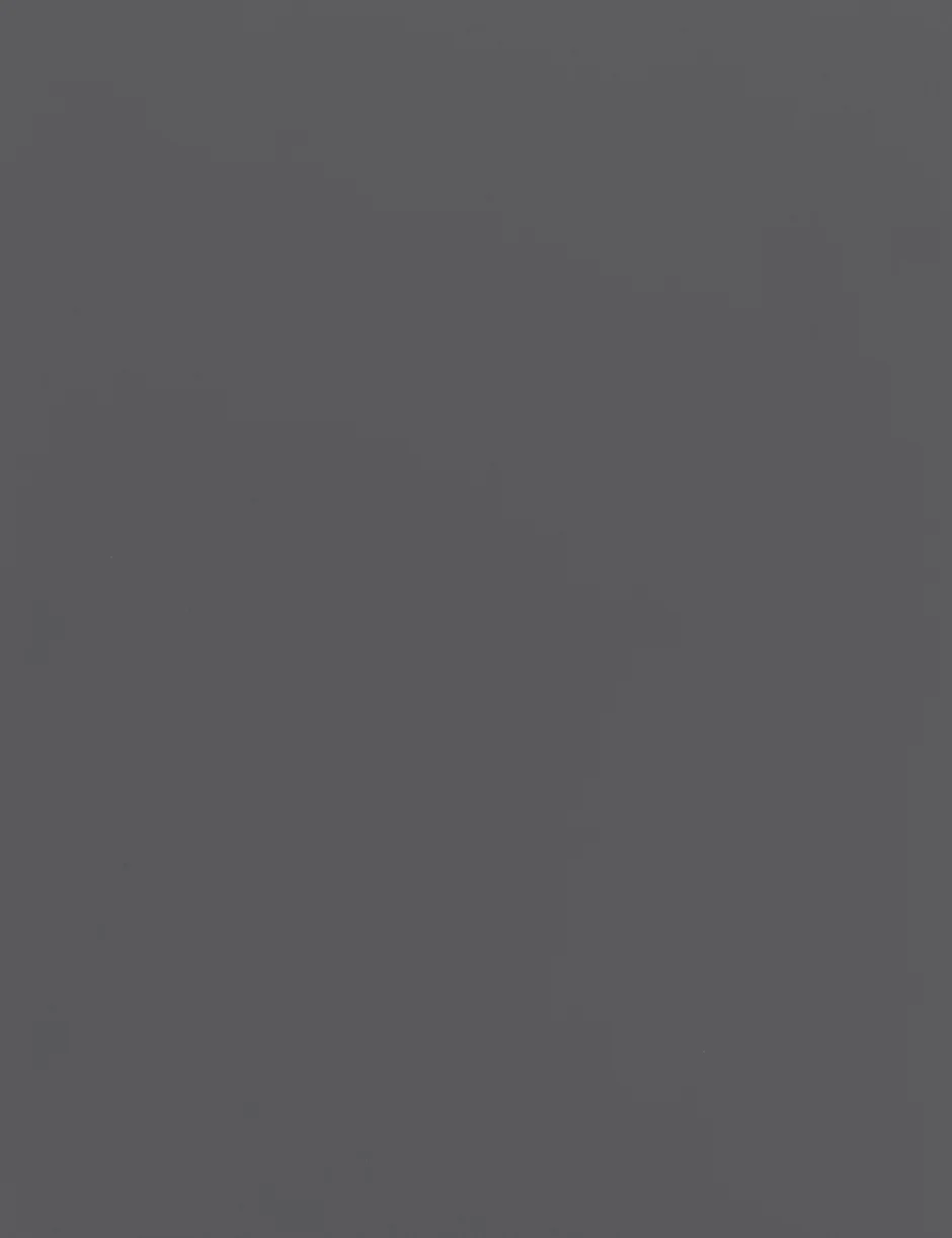 H3032 Matte Gray