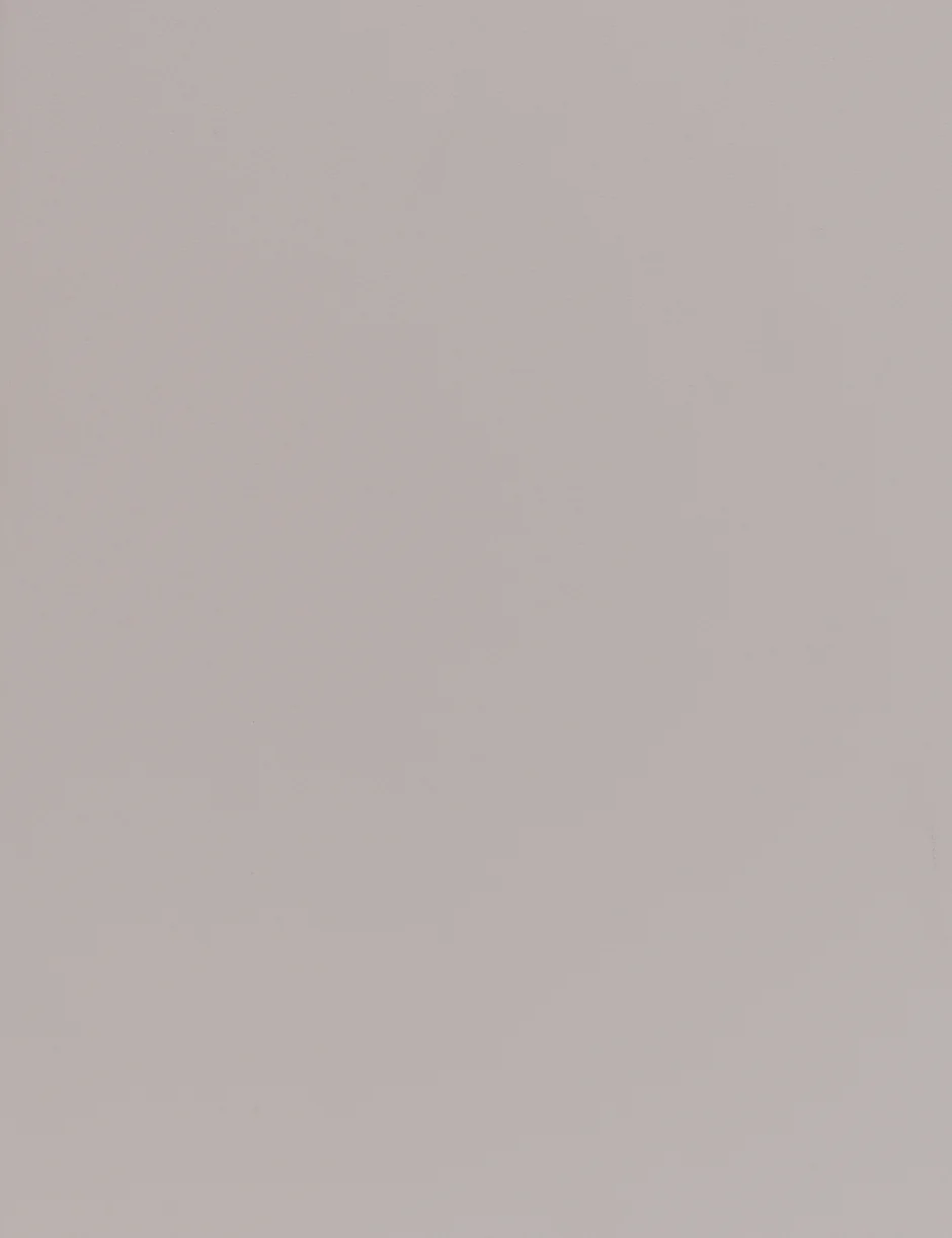OH1001 Chimera Gray