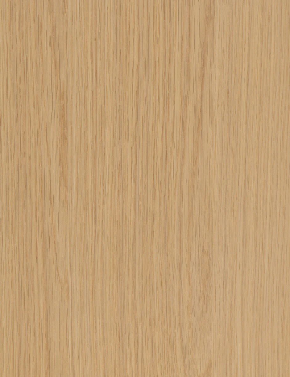 OH20526 White Maple