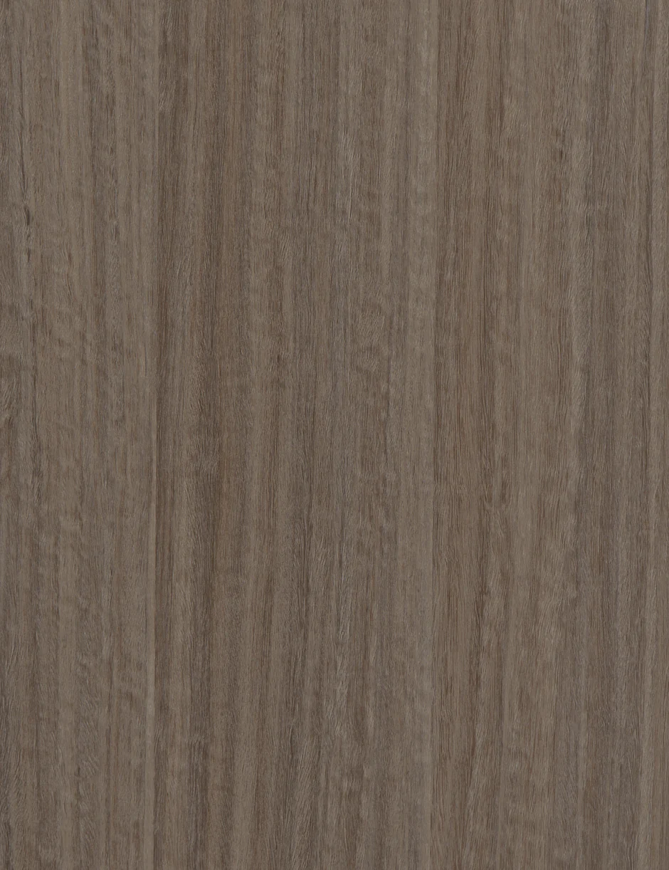 OH368 Silver Eucalyptus