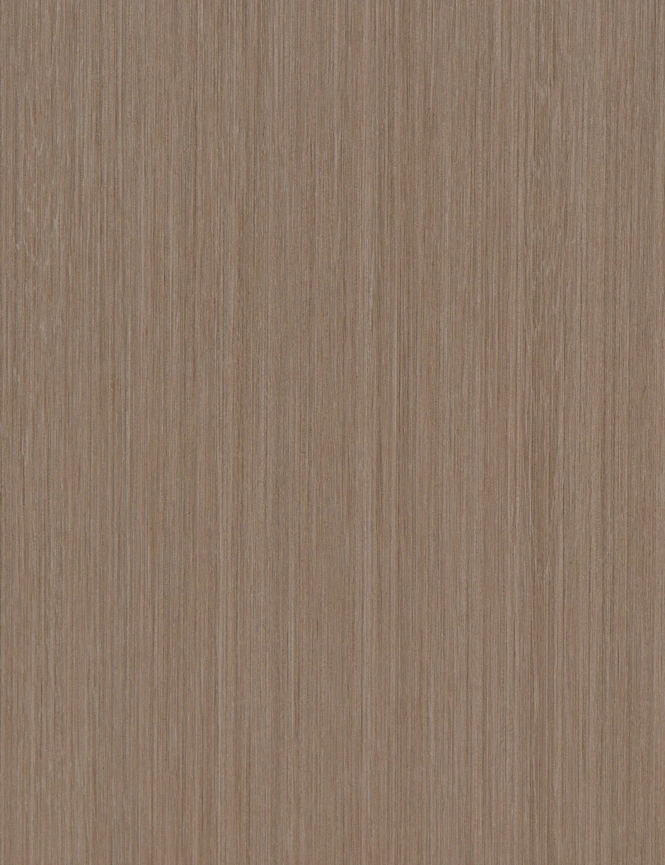OH466 Gray Spruce