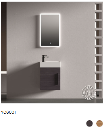 YC6001