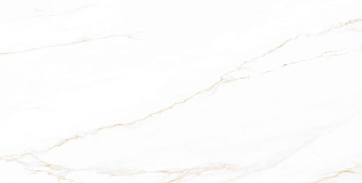 Calacatta Corrinna Porcelain