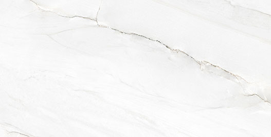 Calacatta Montasia Porcelain