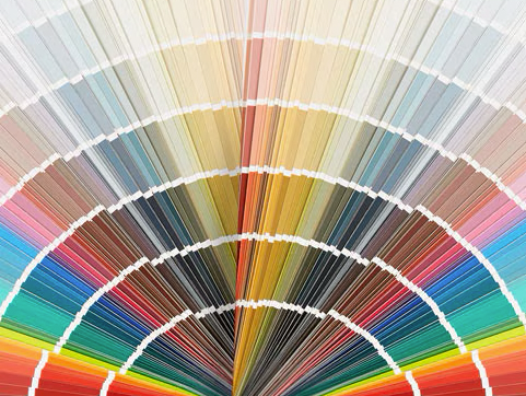 Color Palette