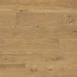 Quercia
